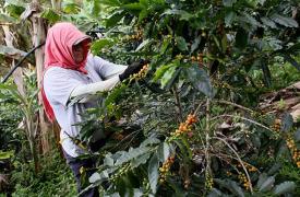 國際咖啡期貨價10年新高，高通脹背景下喝杯飲料也挺費錢